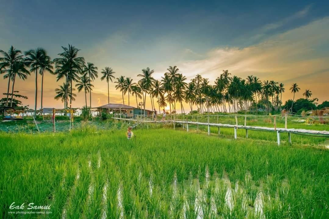 I - Talay Taling Ngam Samui - เขา ป่า นา เล ตลิ่งงาม สมุย Taling Ngam (Koh Samui) Exterior foto