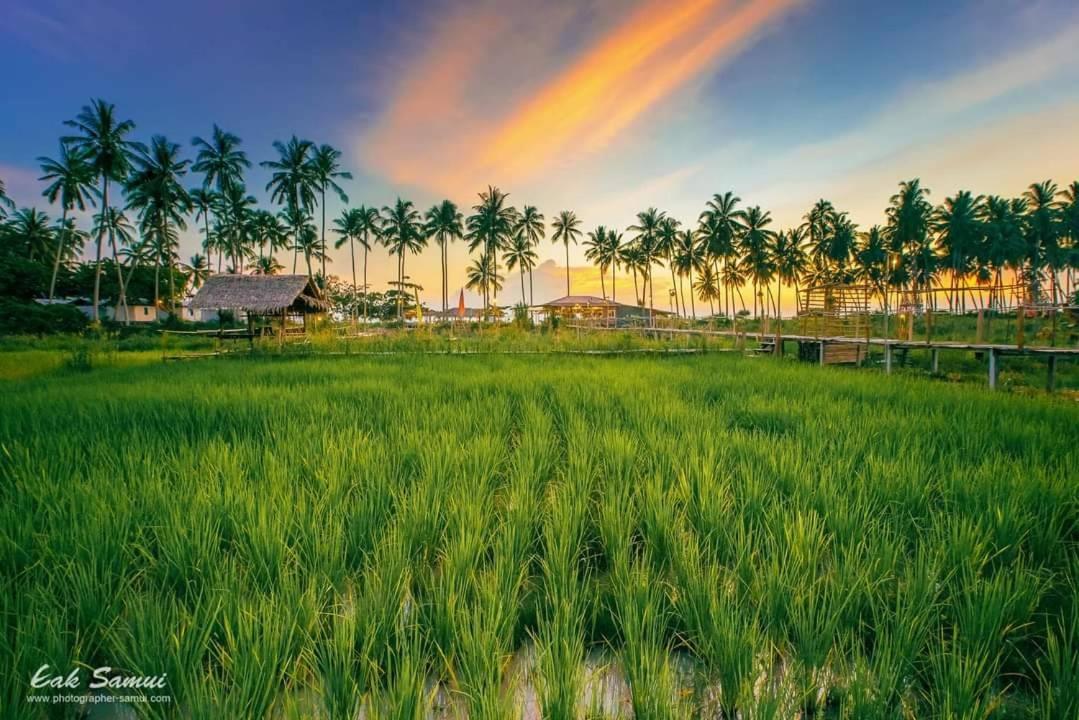 I - Talay Taling Ngam Samui - เขา ป่า นา เล ตลิ่งงาม สมุย Taling Ngam (Koh Samui) Exterior foto